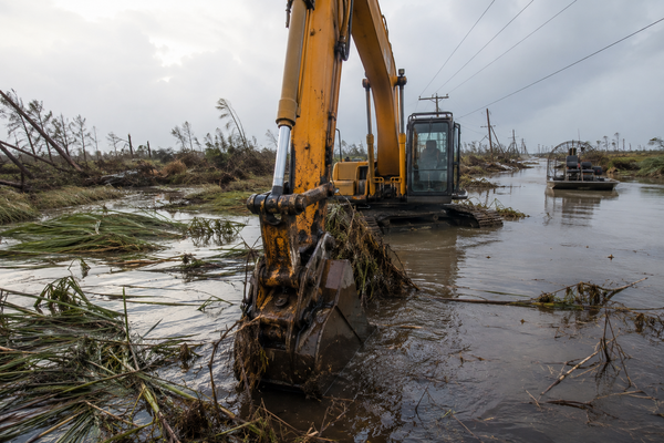 marsh clearing